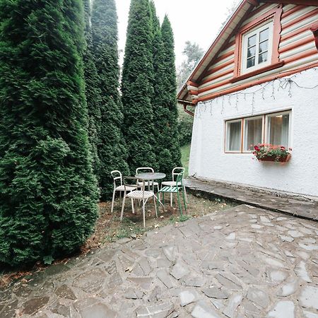 Vila Camelia Sinaia Exterior photo