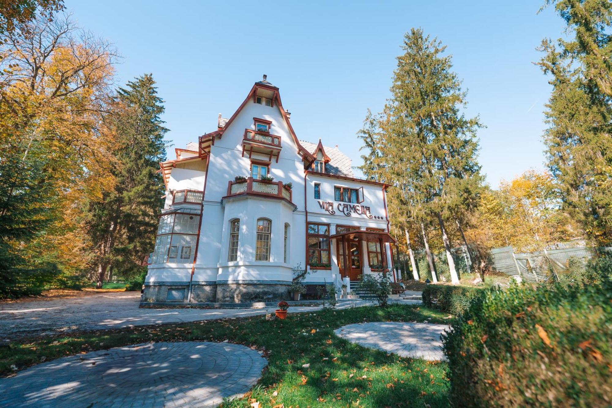 Vila Camelia Sinaia Exterior photo
