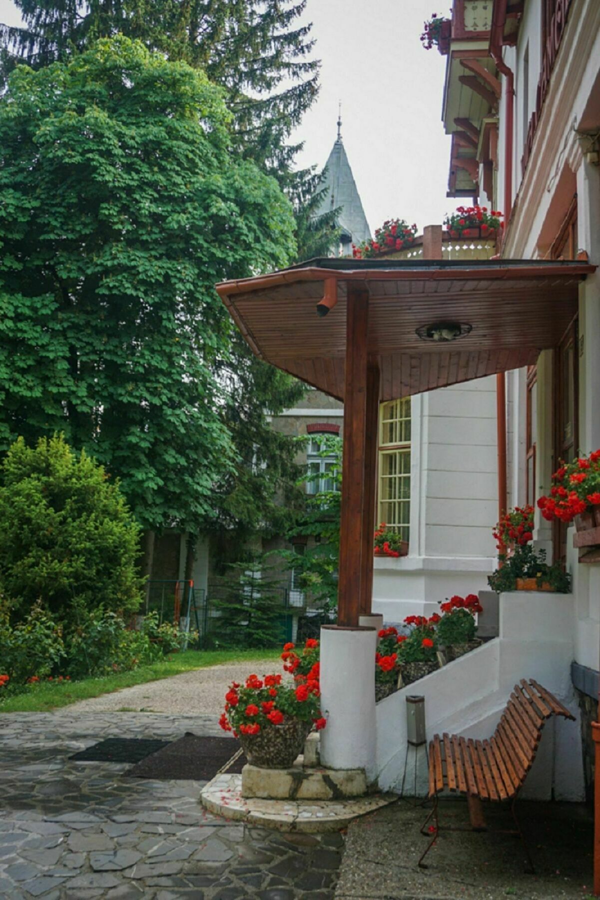 Vila Camelia Sinaia Exterior photo