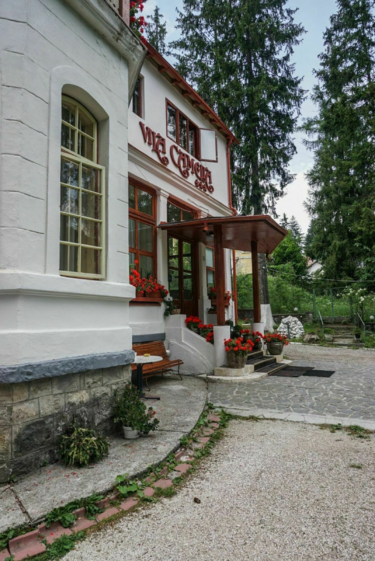 Vila Camelia Sinaia Exterior photo